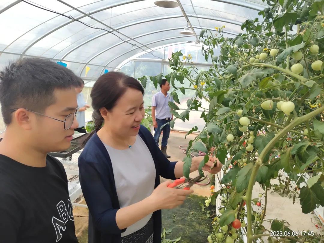 宁德职业技术学院